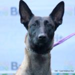 RASTY ze Svobodného dvora